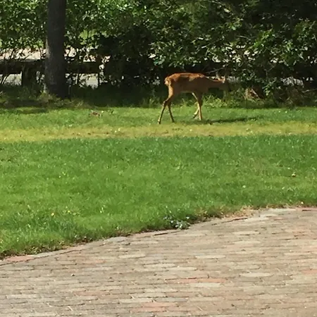 Hotel Egebjerggaard *