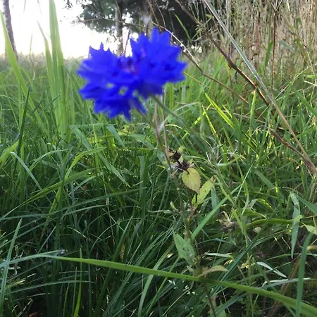 Egebjerggaard Hotel Sig
