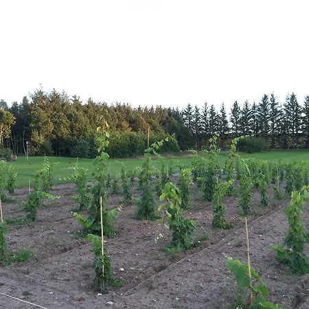 Hotel Egebjerggaard *