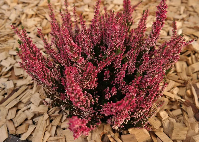 호텔 Egebjerggaard