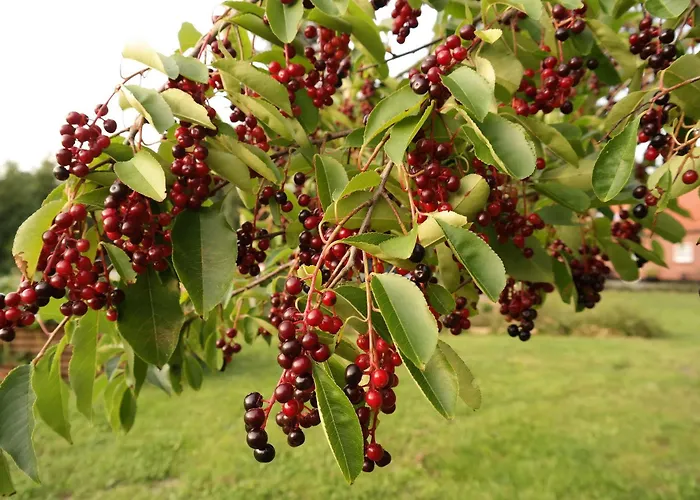 Egebjerggaard 호텔