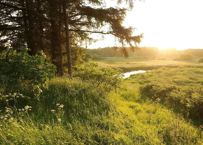 Egebjerggaard 호텔 *