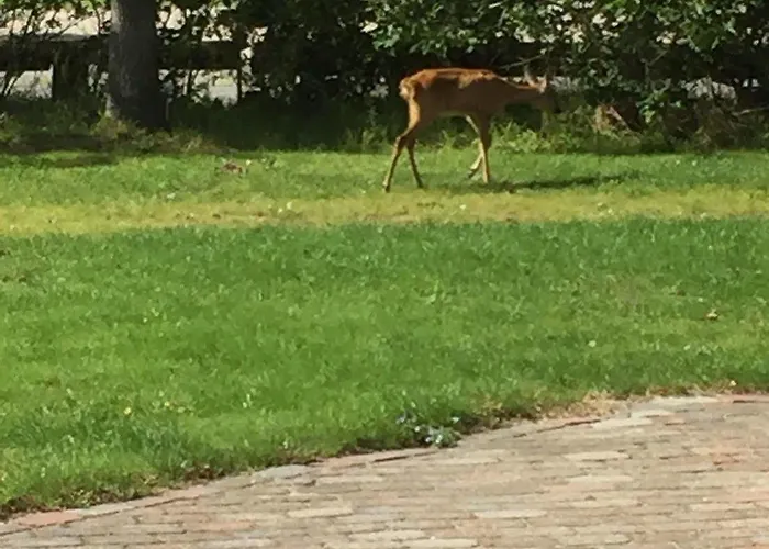 호텔 Egebjerggaard *