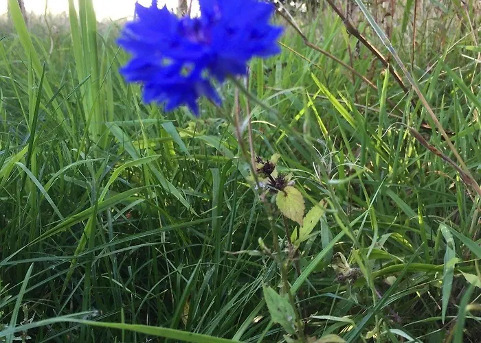 Egebjerggaard 호텔 Sig