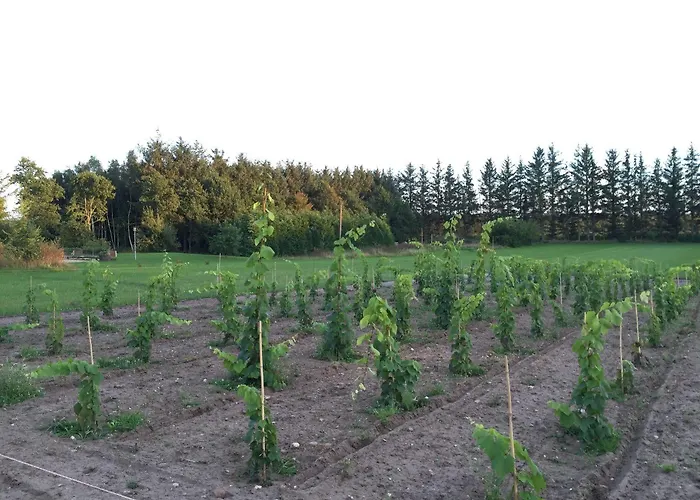 호텔 Egebjerggaard *